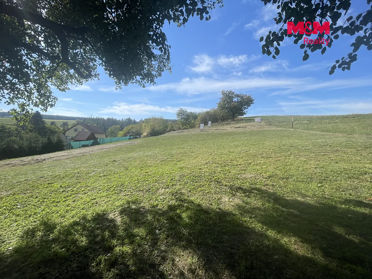 Fotka 4 z 13